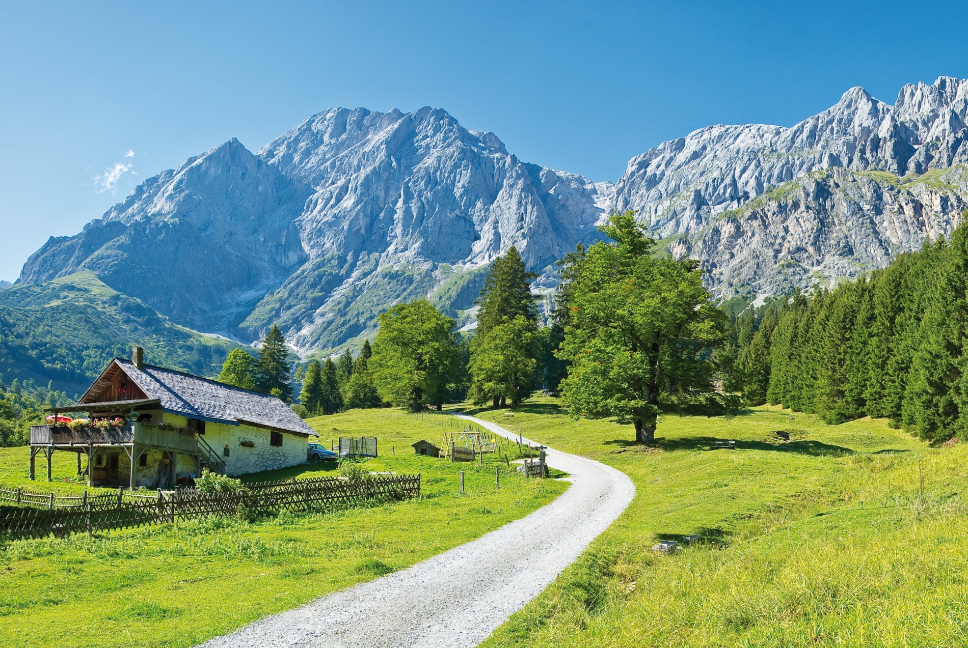 Ein schöner Tag in Natur 